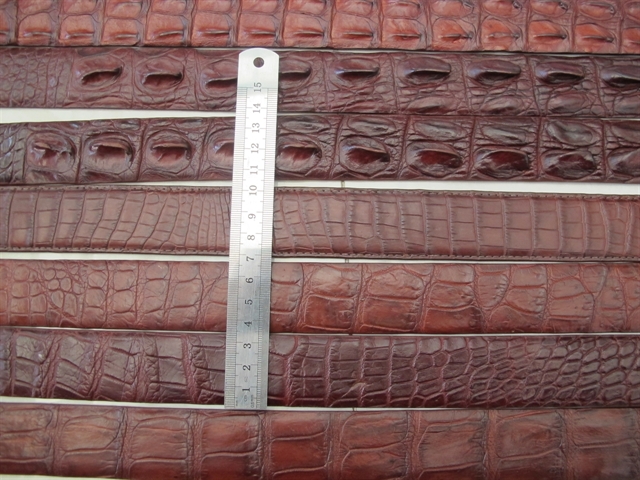 Thắt lưng nam da lưng cá sấu